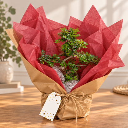 12 Year Old Bonsai Gift- Choose Occasion